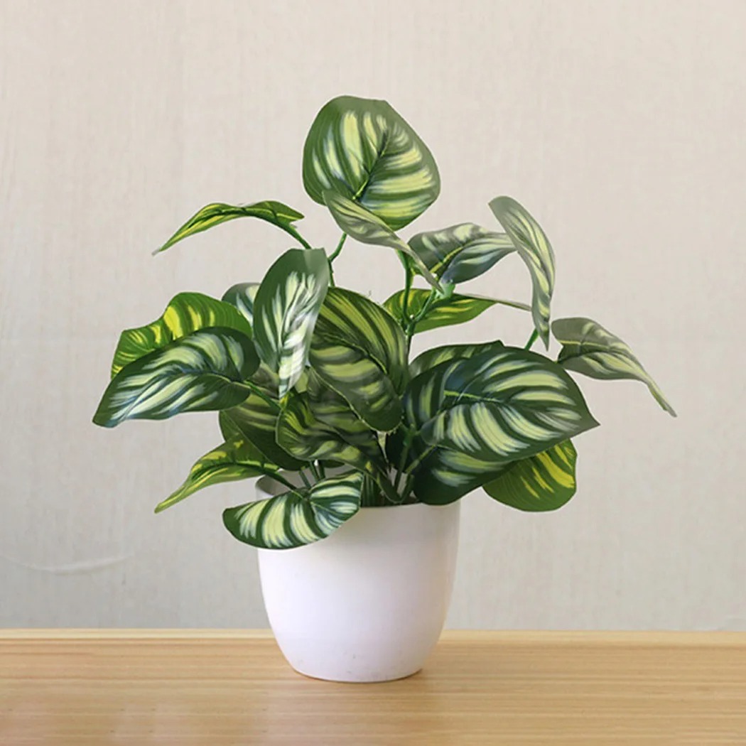 1 Buah Pot Tanaman Dedaunan Bu - Home Office Layout ulasan dan harga